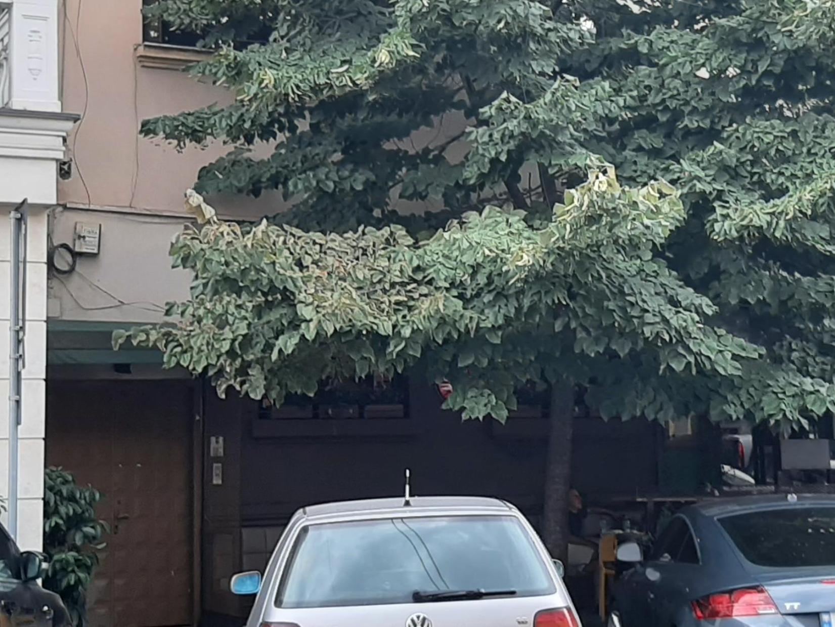 Апартаменти Yes Тирана Номер фото